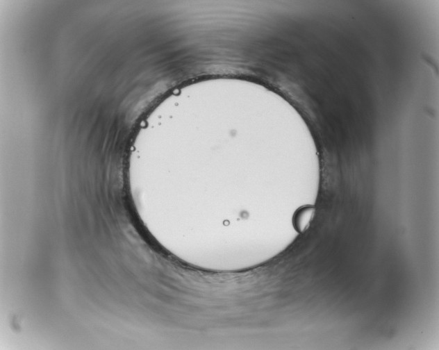 X0000102300015200808152028