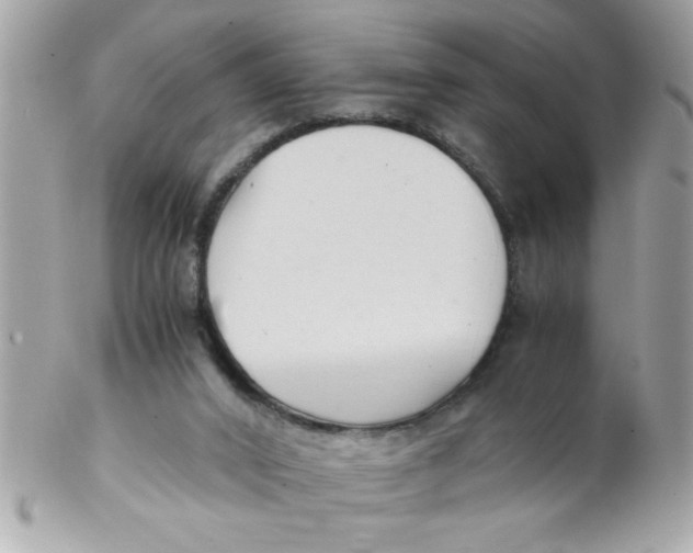 X0000102300016200808152028