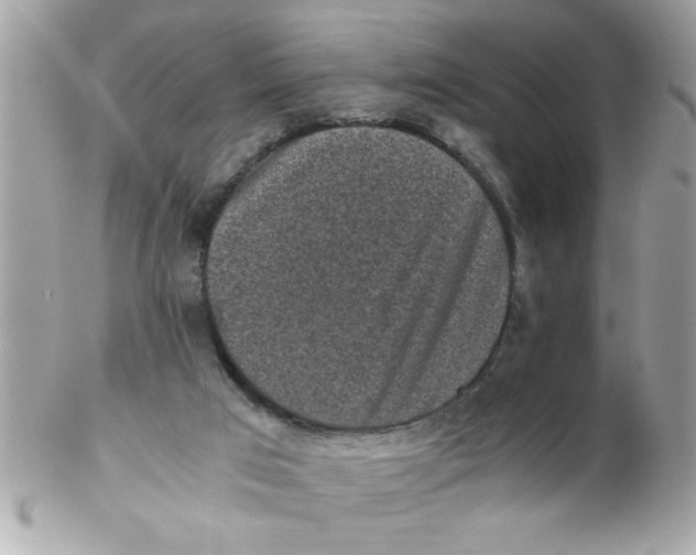 X0000102300017200808152028
