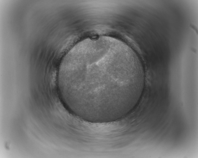 X0000102300018200808152028