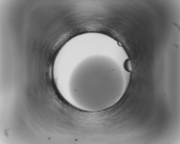 X0000102300019200808152028