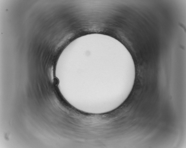 X0000102300020200808152028