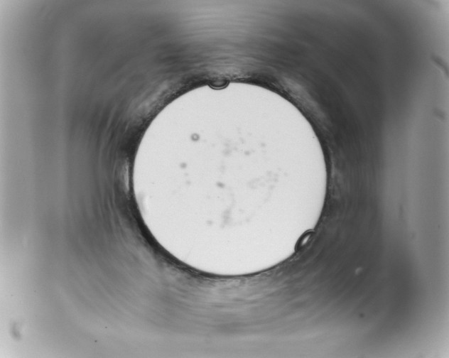 X0000102300021200808152028