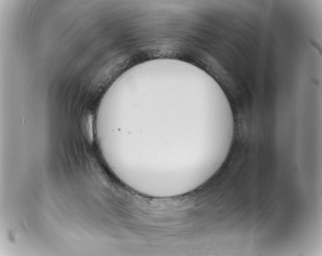 X0000102300022200808152028