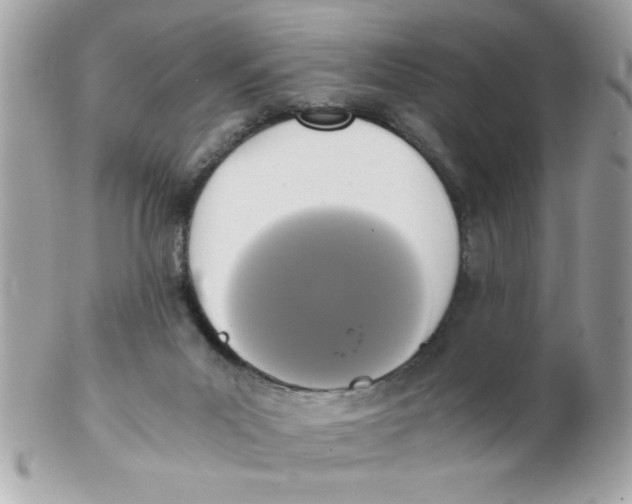 X0000102300023200808152028