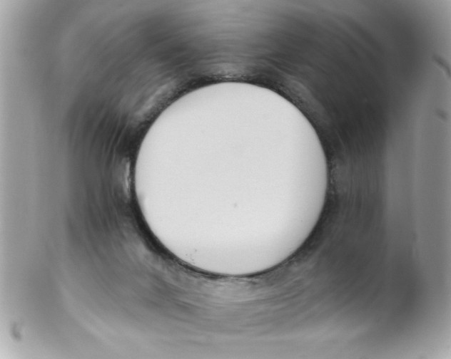 X0000102300024200808152028