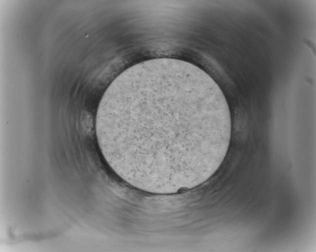 X0000102300025200808152028