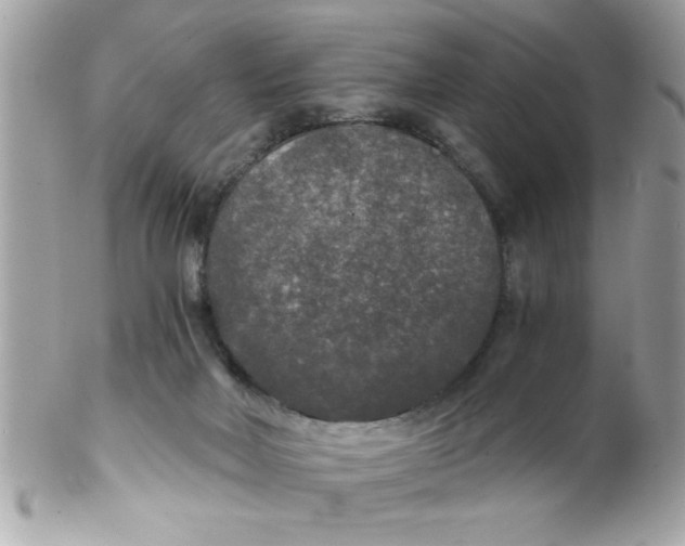 X0000102300026200808152028