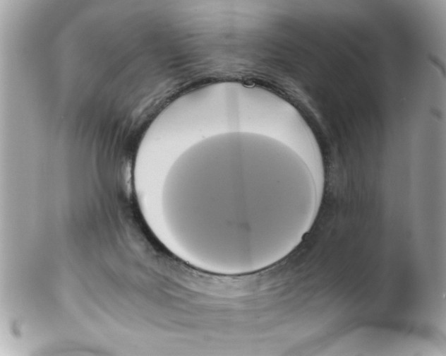 X0000102300027200808152028