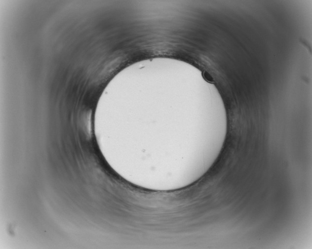 X0000102300028200808152028