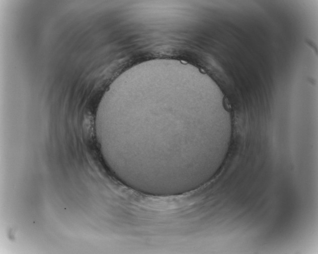 X0000102300029200808152028