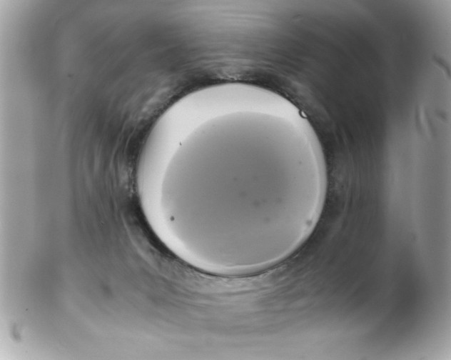 X0000102300031200808152028