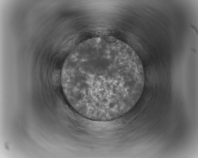 X0000102300034200808152028