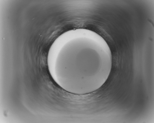 X0000102300035200808152028