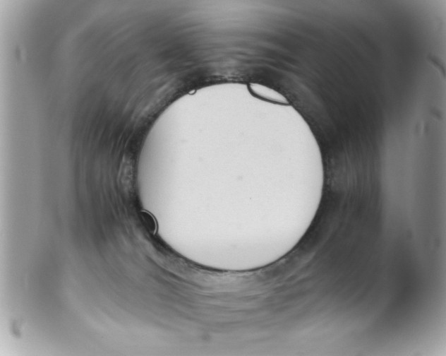X0000102300036200808152028