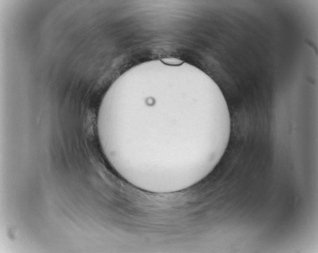 X0000102300038200808152028