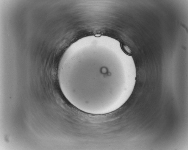 X0000102300039200808152028