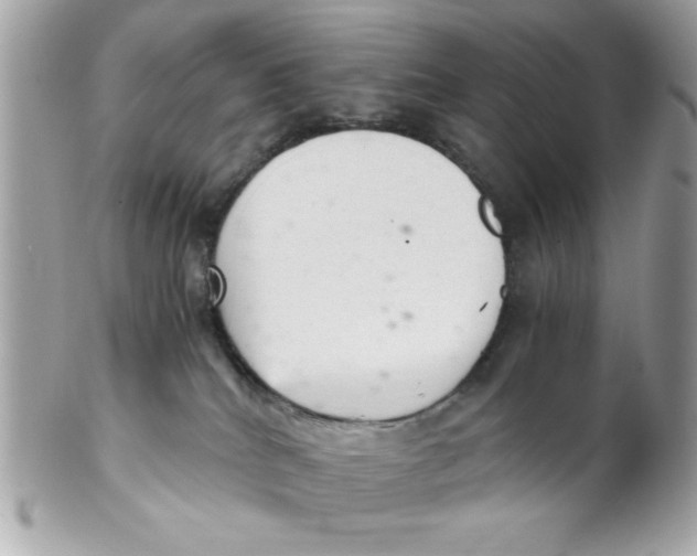 X0000102300040200808152028