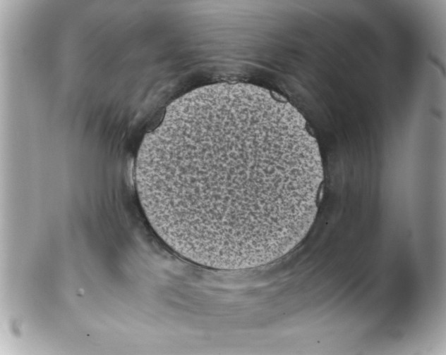 X0000102300041200808152028
