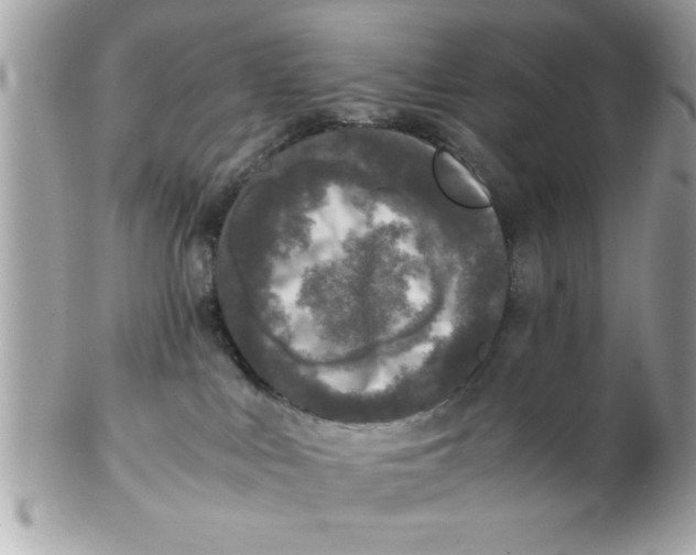 X0000102300043200808152028