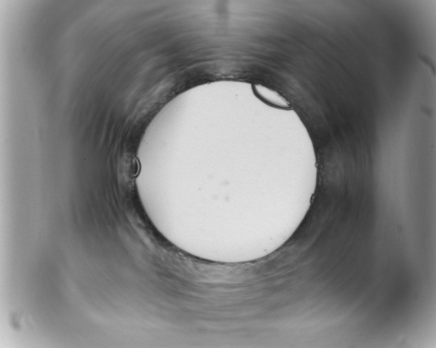 X0000102300044200808152028