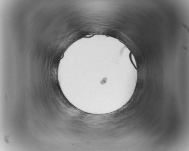 X0000102300045200808152028