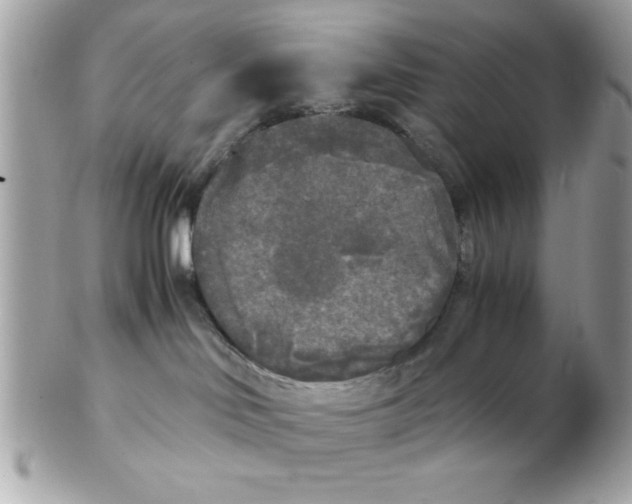 X0000102300046200808152028