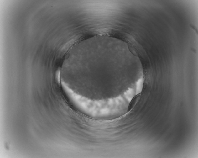 X0000102300047200808152028