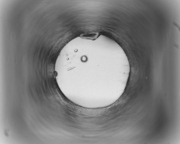 X0000102300048200808152028