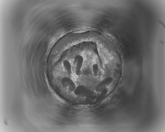 X0000102300049200808152027