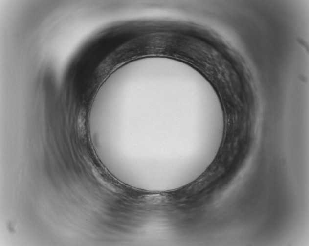 X0000102300050200808152027