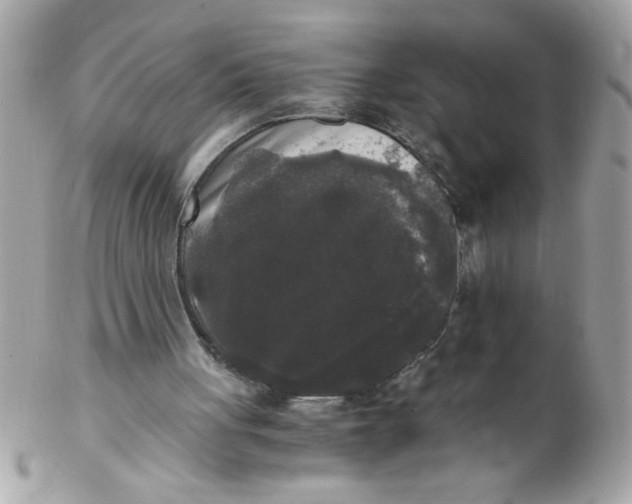 X0000102300051200808152027