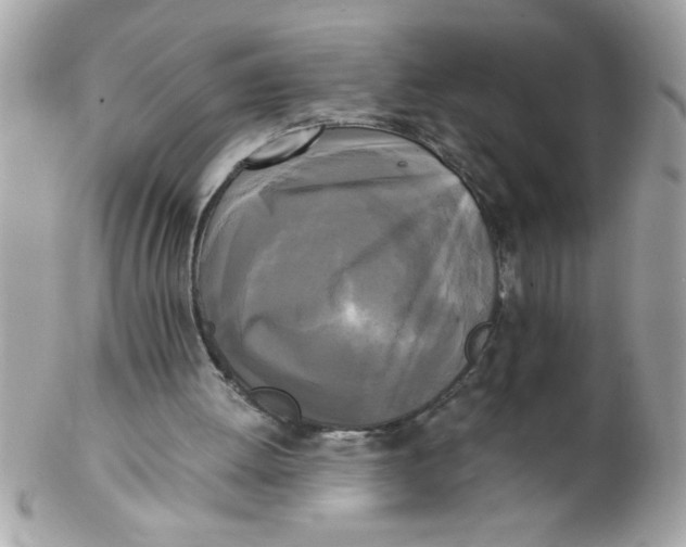 X0000102300052200808152027