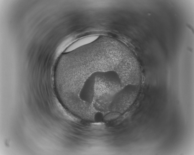 X0000102300053200808152027