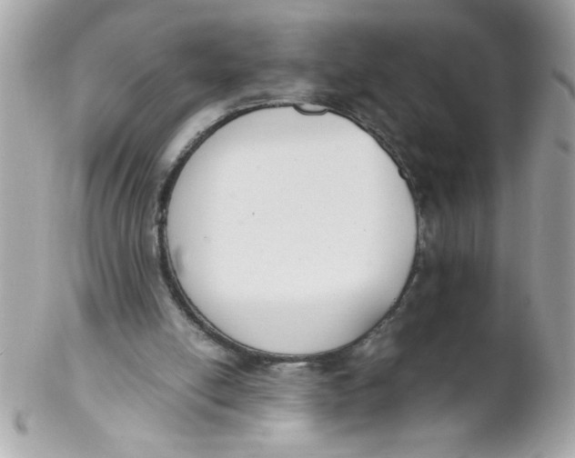 X0000102300054200808152027