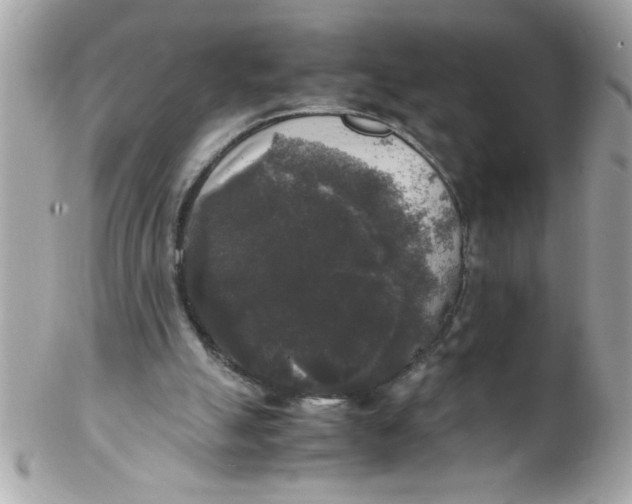 X0000102300055200808152027