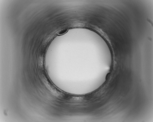 X0000102300057200808152027