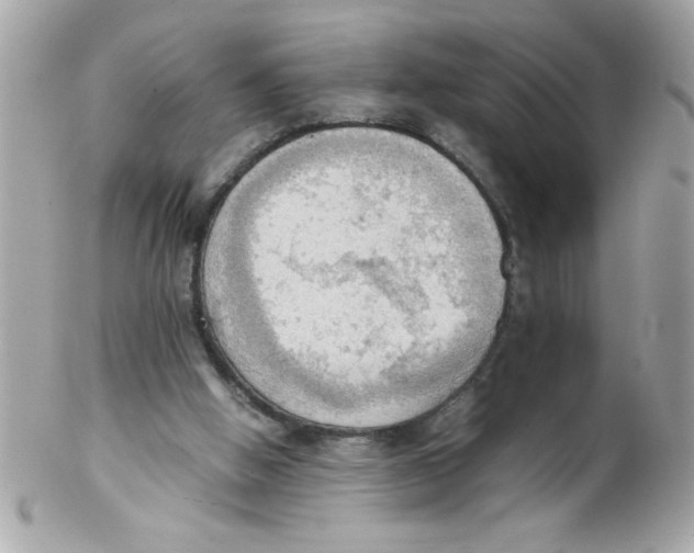 X0000102300058200808152027