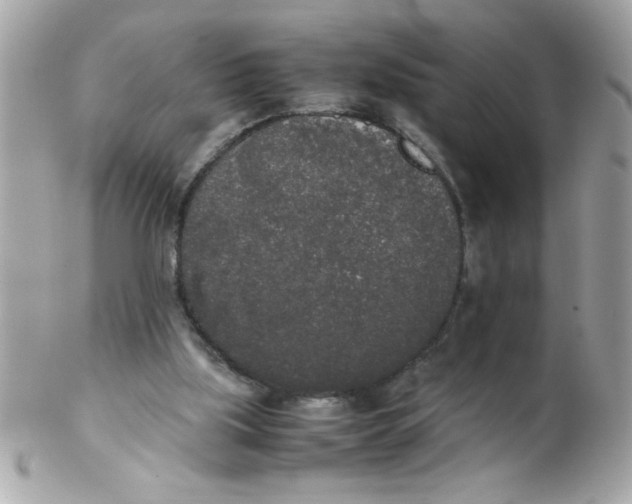 X0000102300059200808152027