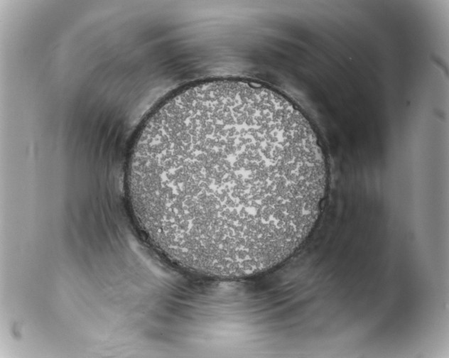 X0000102300060200808152027