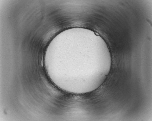 X0000102300062200808152027