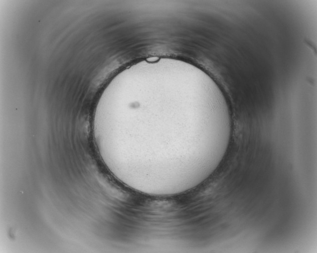X0000102300063200808152027