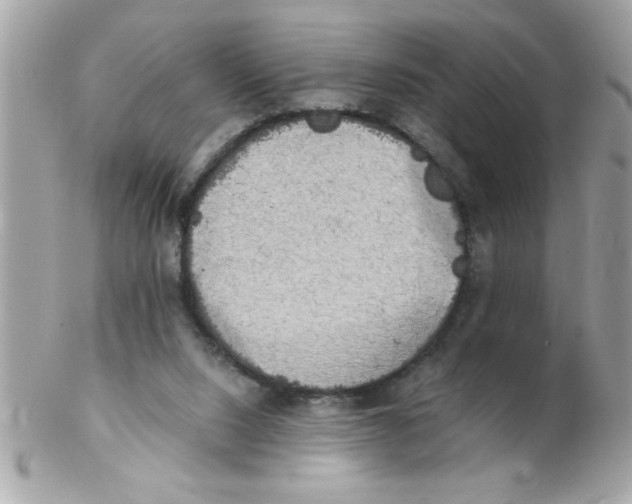 X0000102300064200808152027