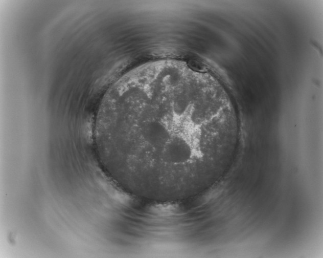 X0000102300065200808152028