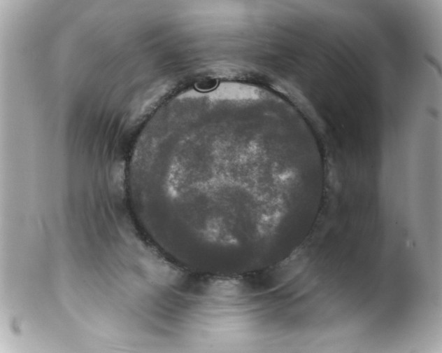 X0000102300066200808152028
