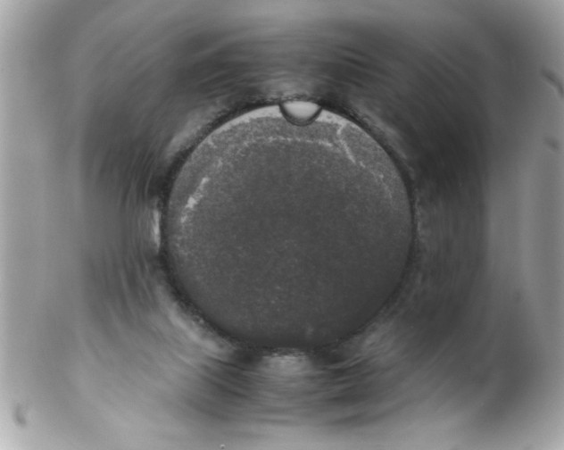 X0000102300067200808152028