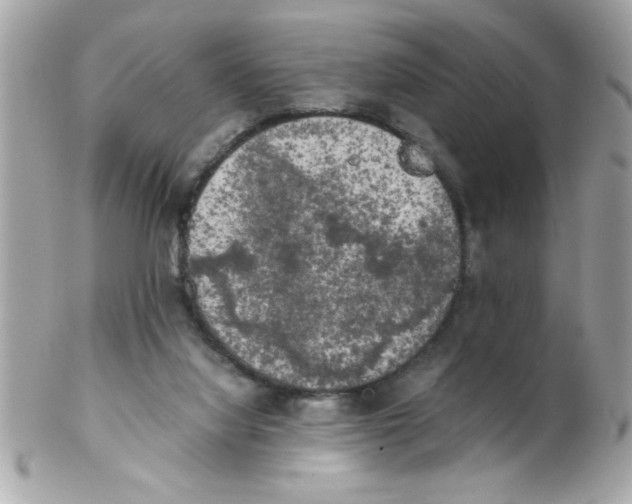 X0000102300068200808152028