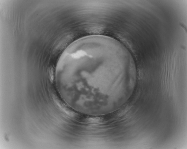 X0000102300069200808152028
