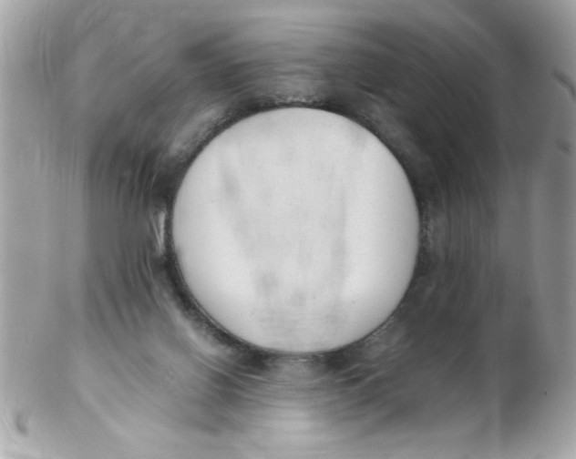 X0000102300070200808152028