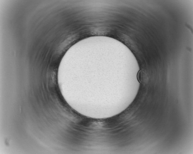 X0000102300071200808152028
